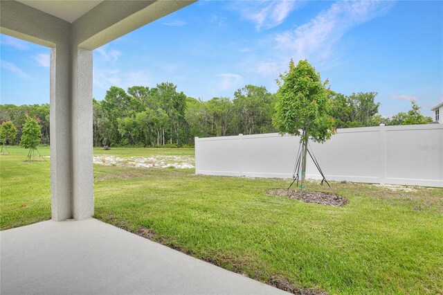 4060 Bannock Ave, Tavares, FL 32778 - view of yard with a patio area