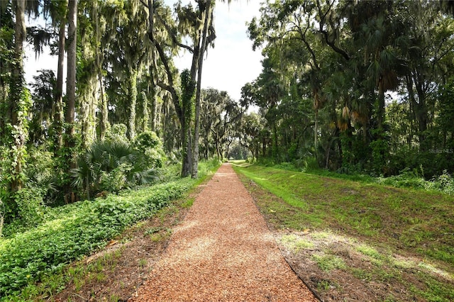 view of road featuring a view of trees