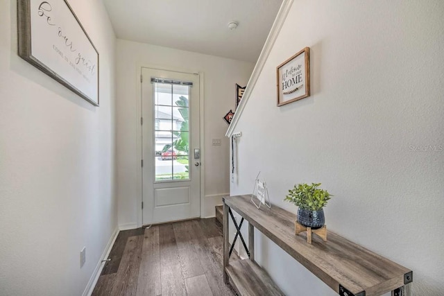 entryway with hardwood / wood-style floors