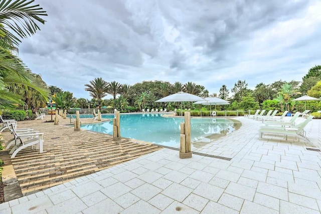 view of swimming pool featuring a patio