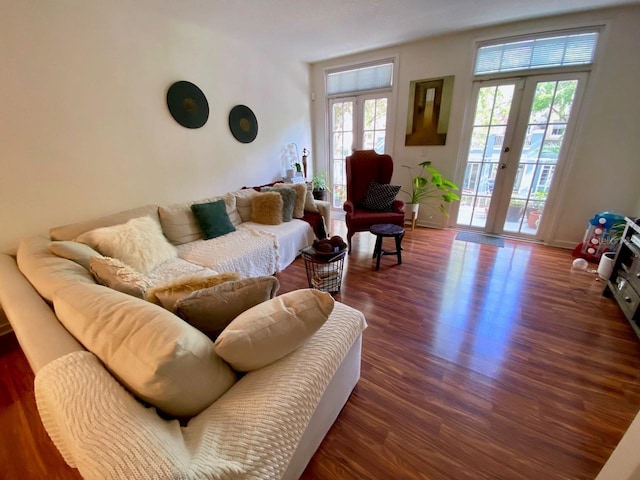 living room featuring dark hardwood / wood-style flooring and french doors