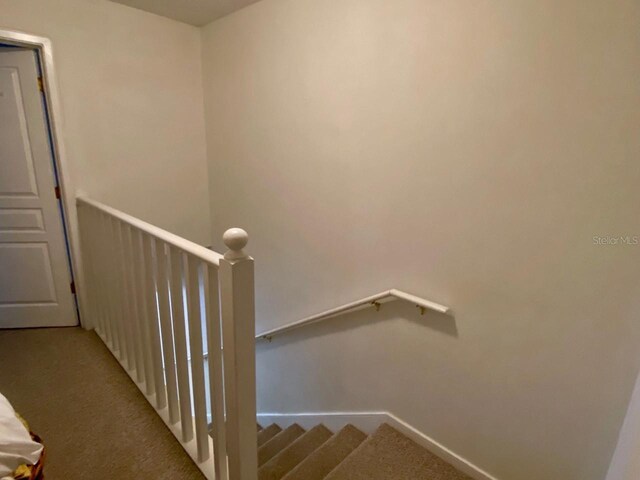 stairway featuring carpet flooring