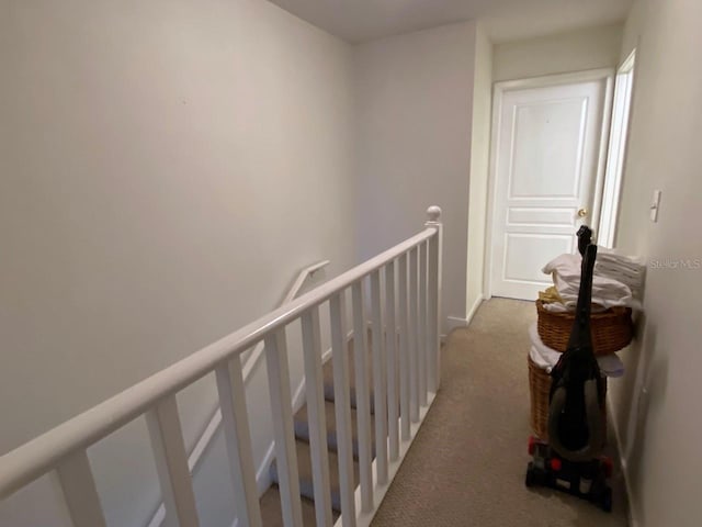 corridor featuring carpet floors