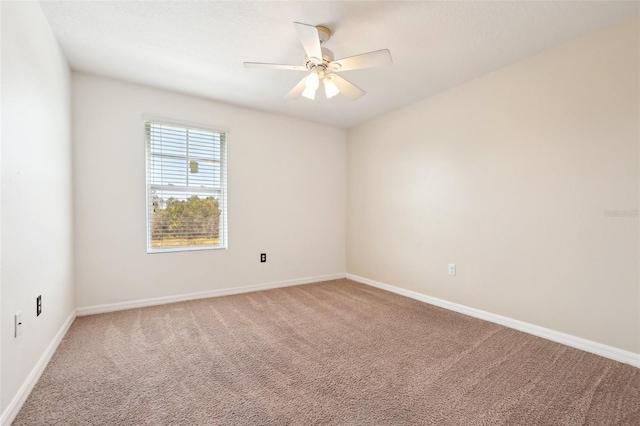 unfurnished room with ceiling fan and carpet