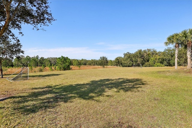 view of yard with a rural view