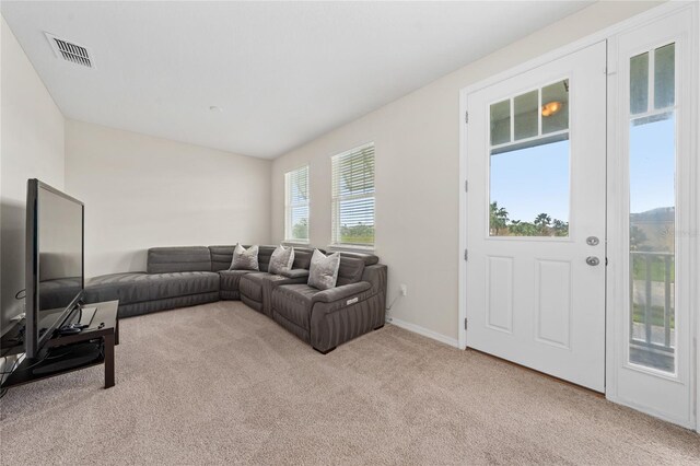 carpeted living room with a wealth of natural light