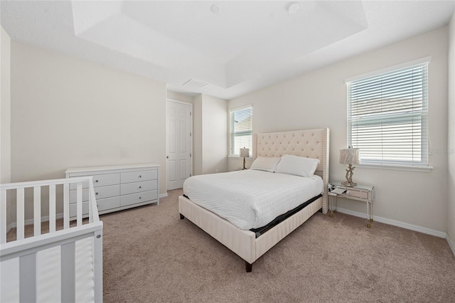 carpeted bedroom featuring a raised ceiling