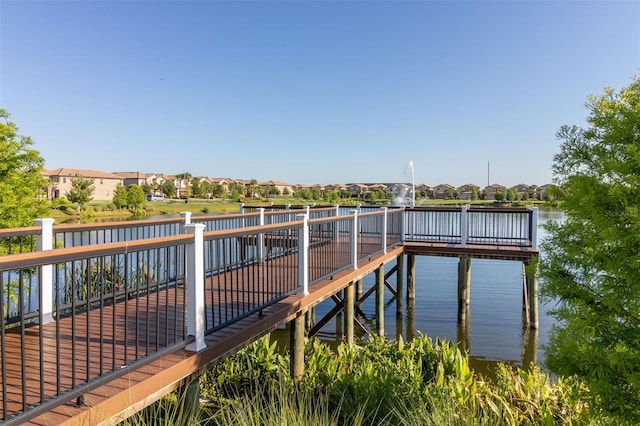 dock area with a water view