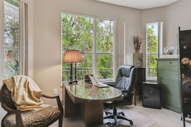 carpeted office with a wealth of natural light