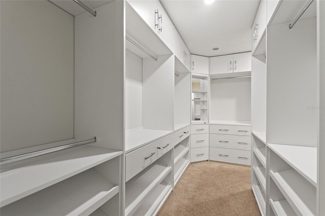 spacious closet featuring light colored carpet