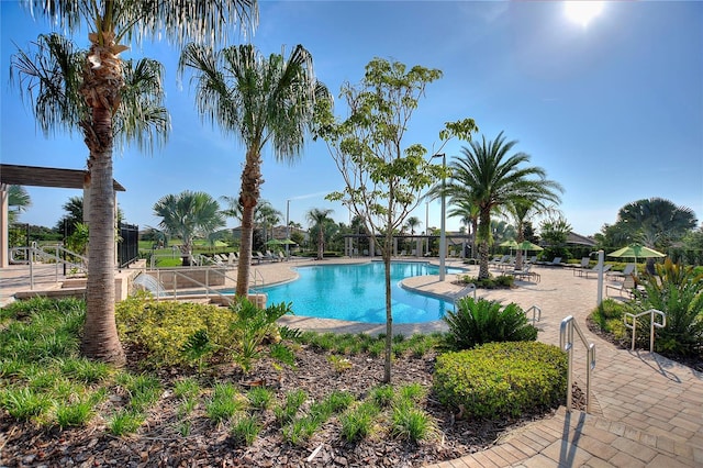 view of swimming pool featuring a patio area