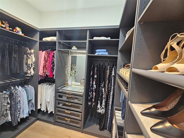 spacious closet with hardwood / wood-style flooring