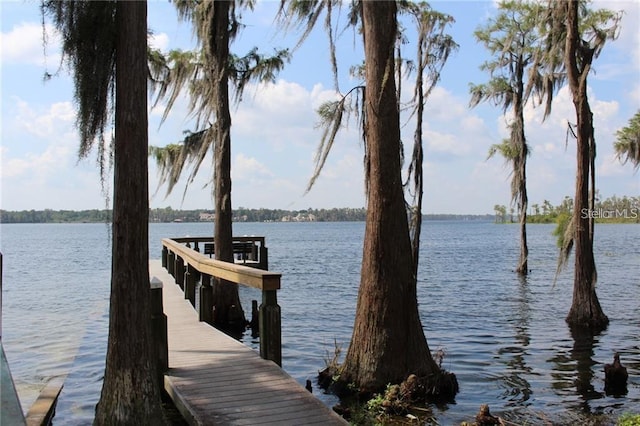 dock area with a water view