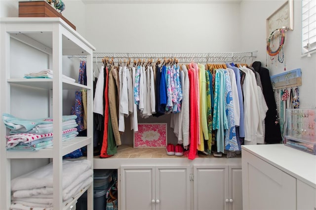 view of spacious closet