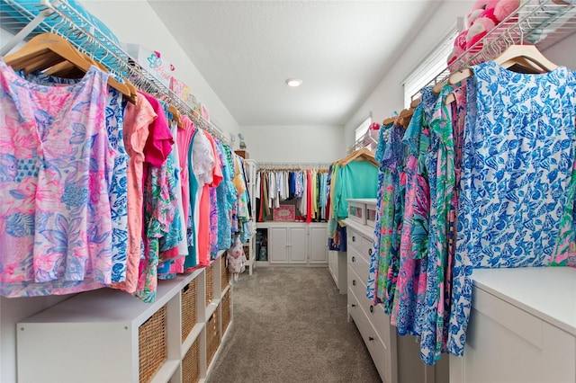 spacious closet featuring carpet flooring