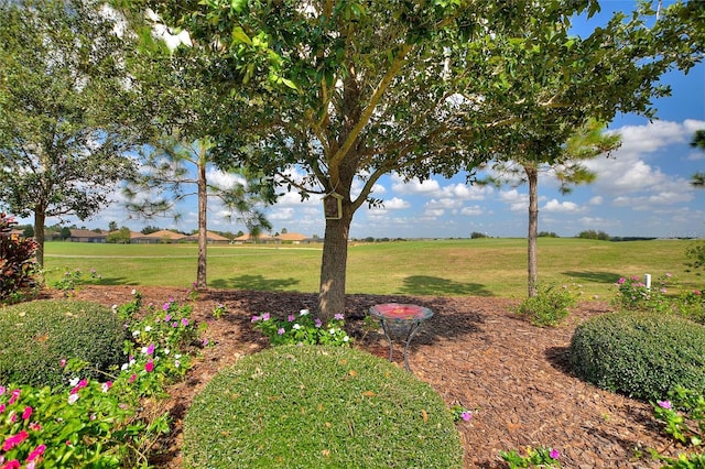 view of yard with a rural view