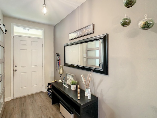 entryway featuring light hardwood / wood-style floors and a barn door