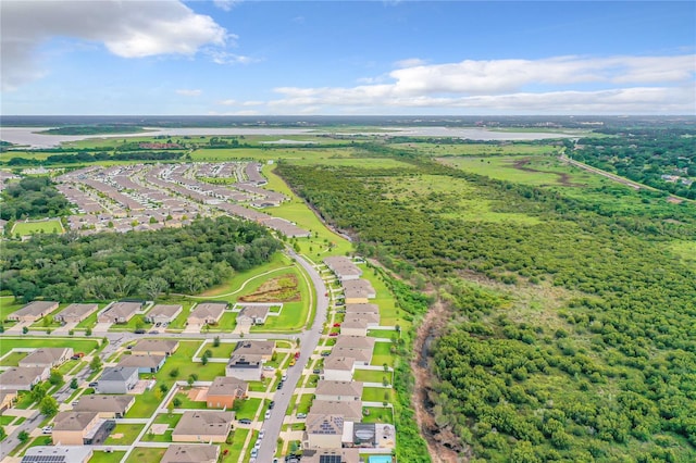 1927 Partin Terrace Rd, Kissimmee, FL 34744 - bird's eye view