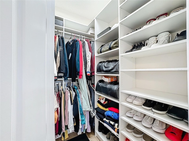 view of walk in closet