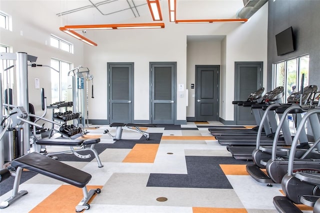 workout area with a high ceiling