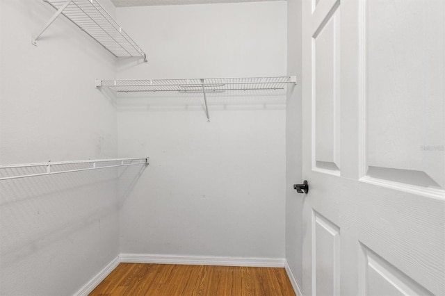 walk in closet featuring wood-type flooring