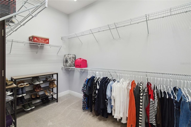 5075 Twin Lakes Blvd, Saint Cloud, FL 34772 - walk in closet with carpet floors