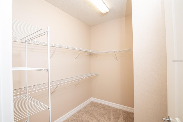 spacious closet with carpet floors