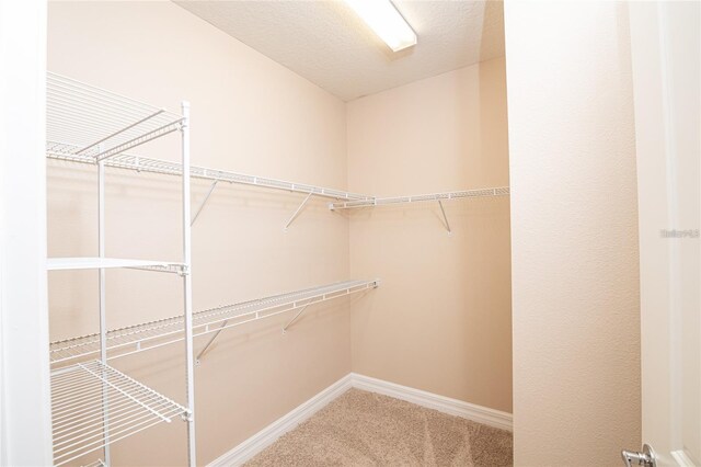 7845 Wandering Way, Orlando, FL 32836 - spacious closet with carpet