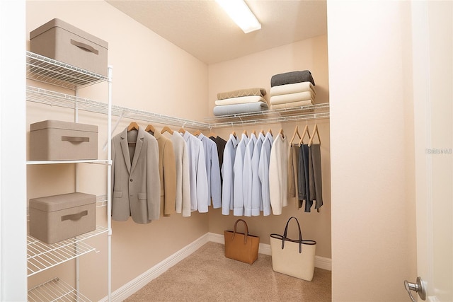 7845 Wandering Way, Orlando, FL 32836 - walk in closet with carpet floors