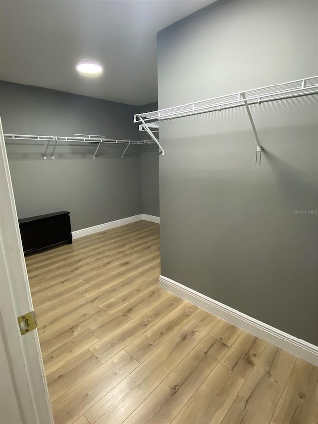 walk in closet featuring hardwood / wood-style flooring