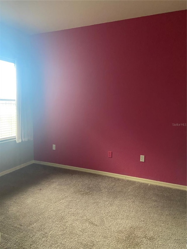 spare room with carpet flooring