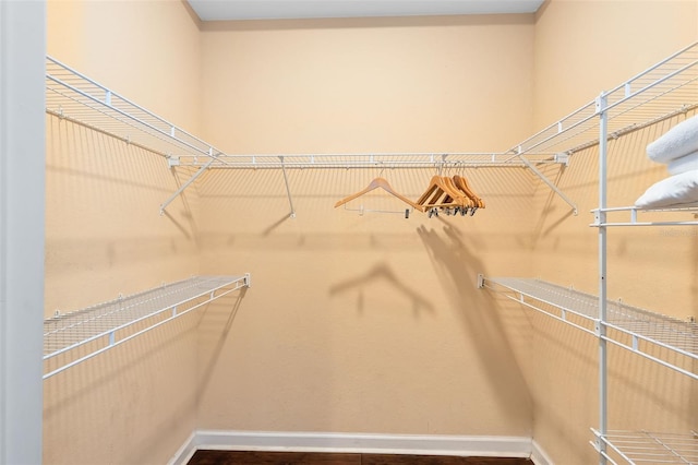 view of walk in closet