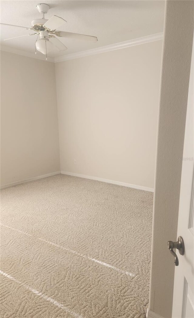 empty room with ceiling fan, carpet floors, and ornamental molding