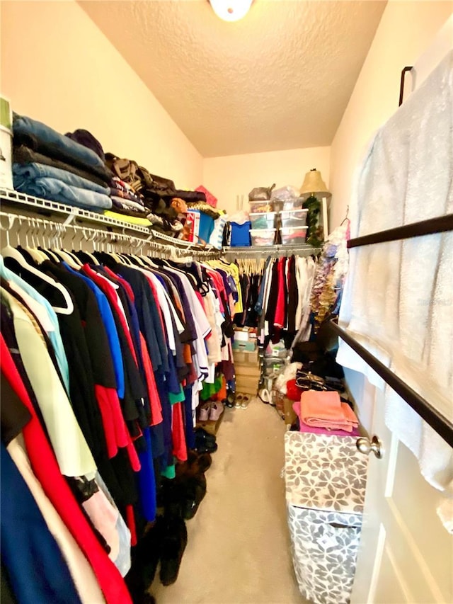 spacious closet featuring carpet floors