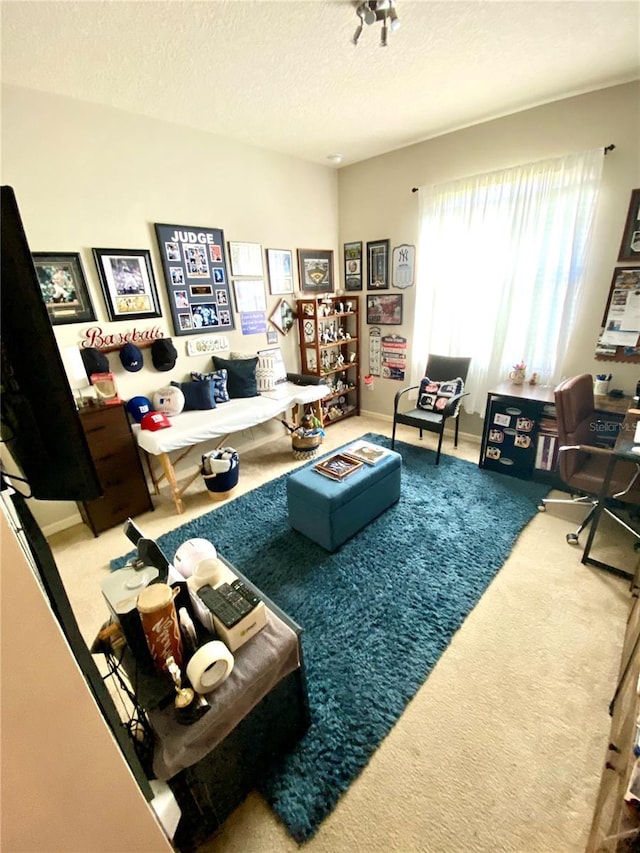 living room featuring carpet and a textured ceiling