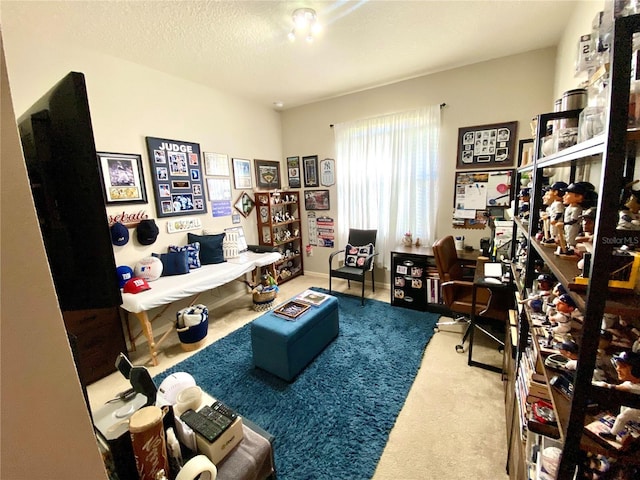 living area with a textured ceiling and carpet floors