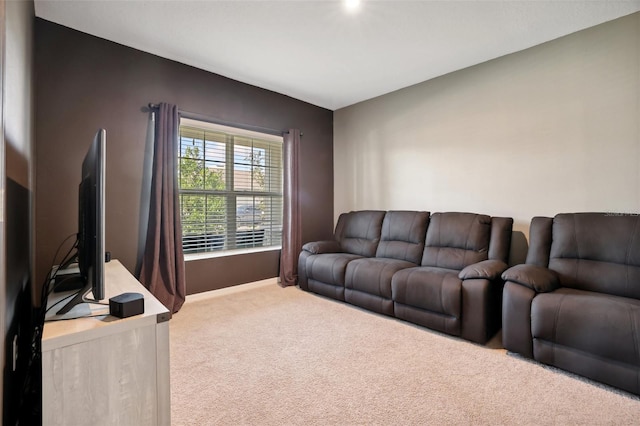 living room featuring carpet flooring