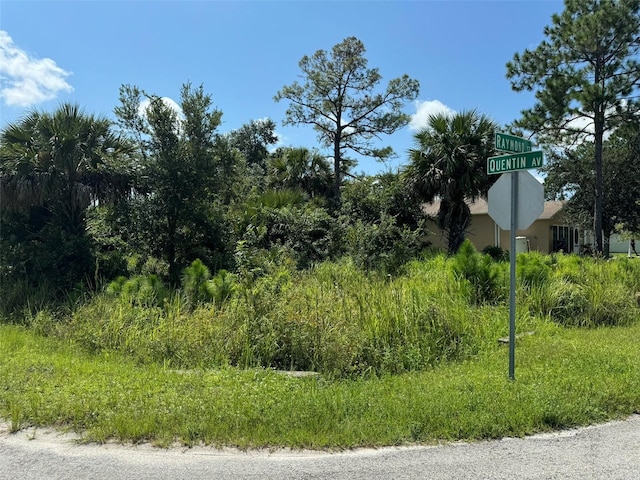 890 Raymond St, Palm Bay FL, 32909 land for sale