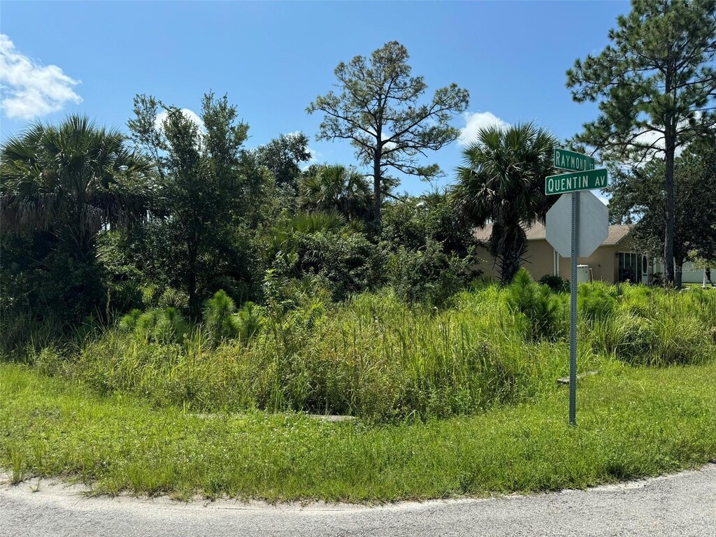 890 Raymond St, Palm Bay, FL 32909 - photo 1