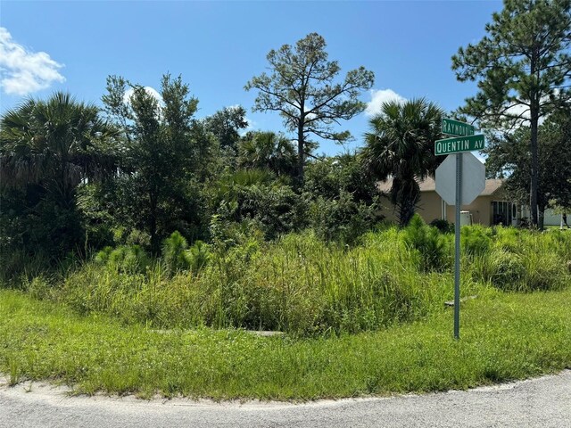 890 Raymond St, Palm Bay, FL 32909 - photo 1