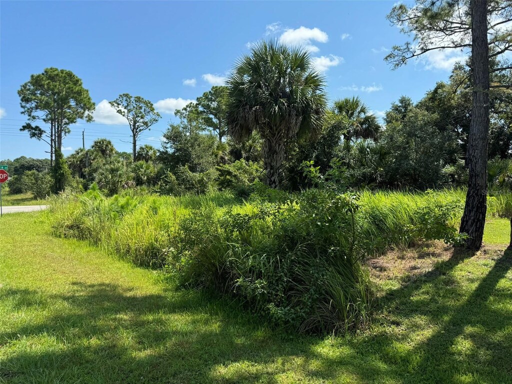 890 Raymond St, Palm Bay, FL 32909 - photo 3