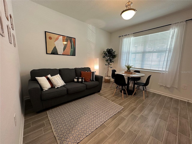 living room with hardwood / wood-style floors