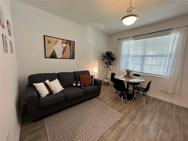 living room with hardwood / wood-style floors and a textured ceiling