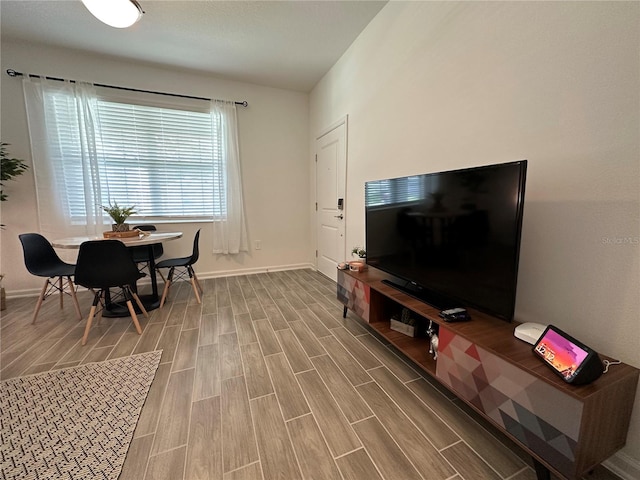 living room with hardwood / wood-style floors