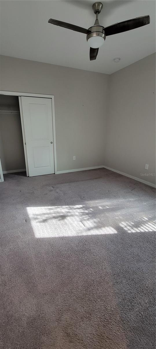 empty room with carpet and ceiling fan