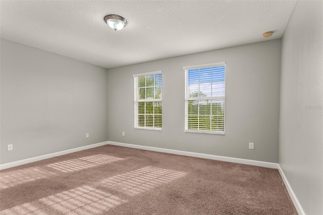 unfurnished room featuring carpet flooring and a textured ceiling