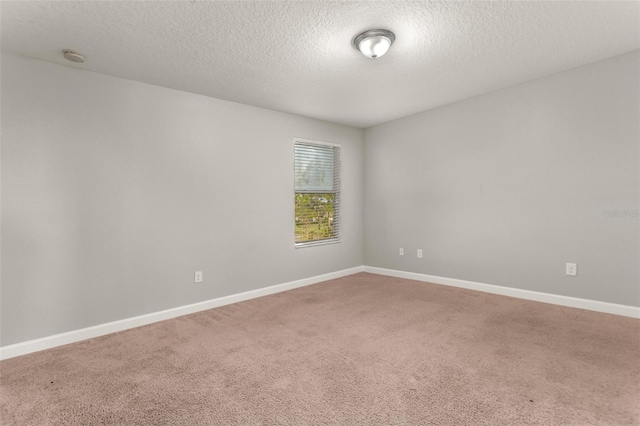 spare room with carpet and a textured ceiling