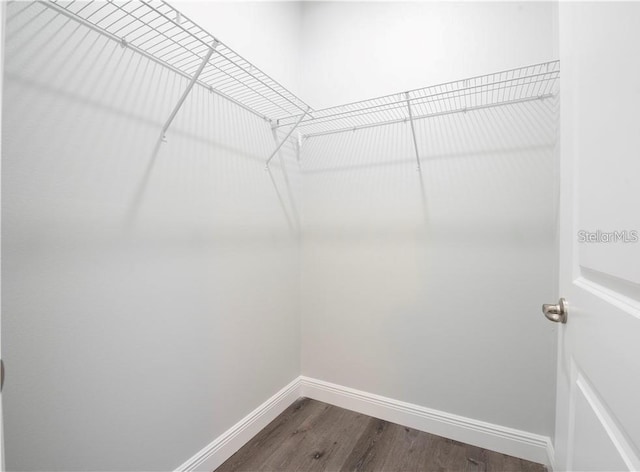 walk in closet featuring dark hardwood / wood-style flooring