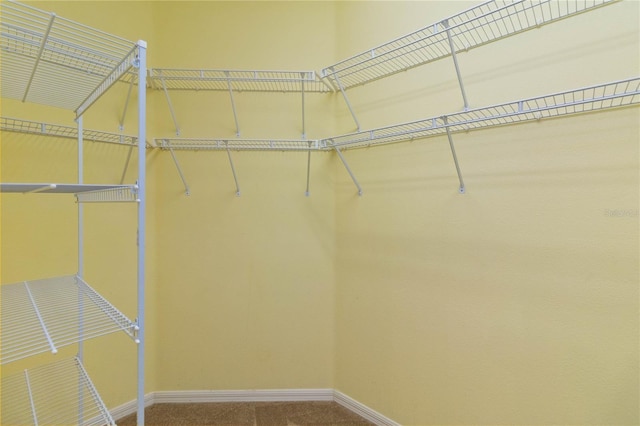 3401 Home Town Ln, Saint Cloud, FL 34769 - spacious closet with carpet floors