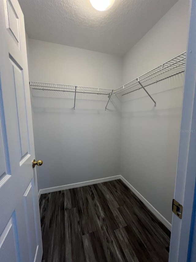 spacious closet featuring dark wood-type flooring